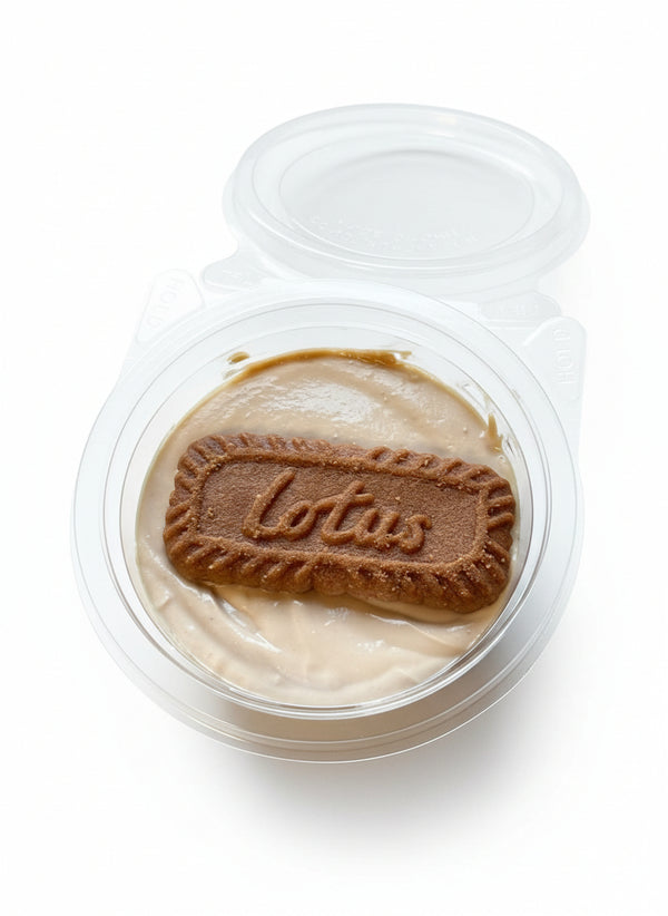 Biscoff Protein Cheesecake